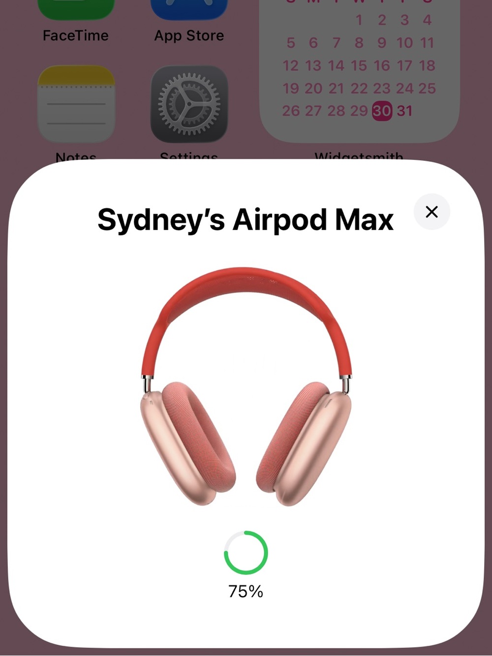 Apple AirPod Max - Picture 6 of 8